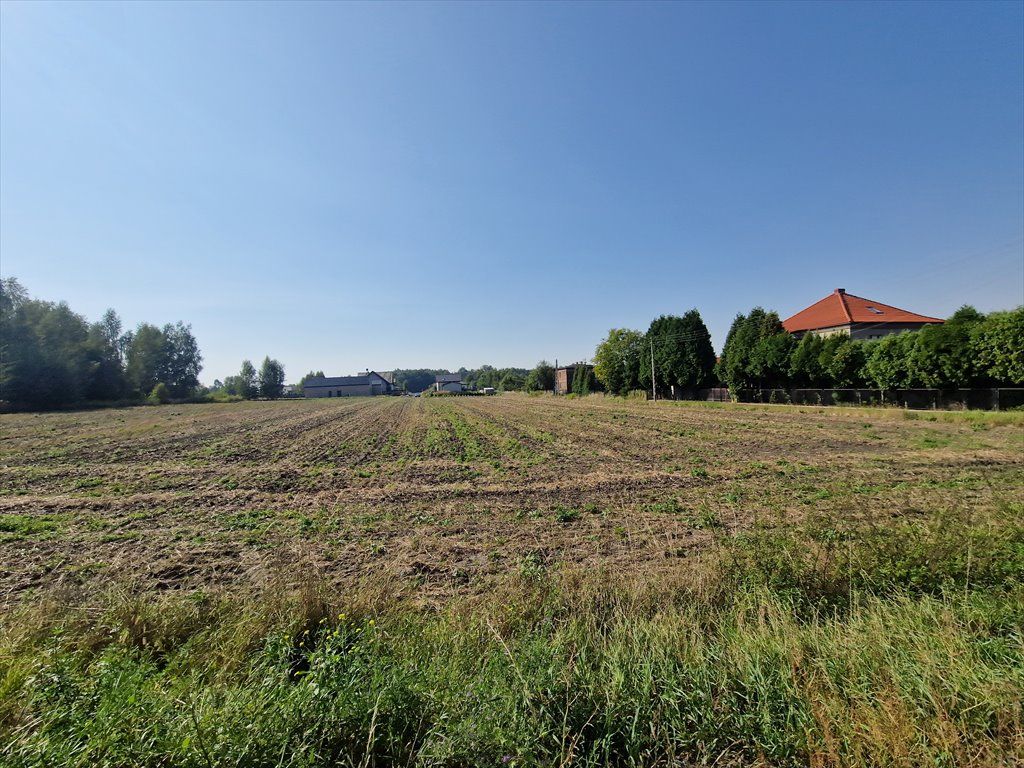 Sprzedam działkę inwestycyjną 9508 m² przy DK 44 w Mikołowie Mikołów, Gliwicka  9 508m2 Foto 1