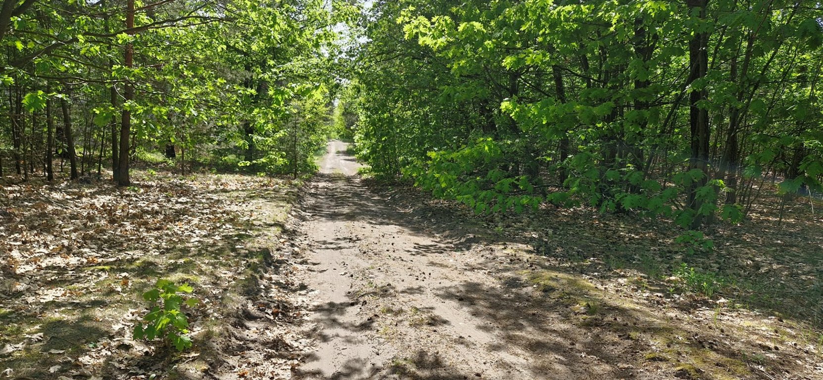 Działka budowlana w Głownie, 2182 m², las, media Głowno  2 182m2 Foto 1