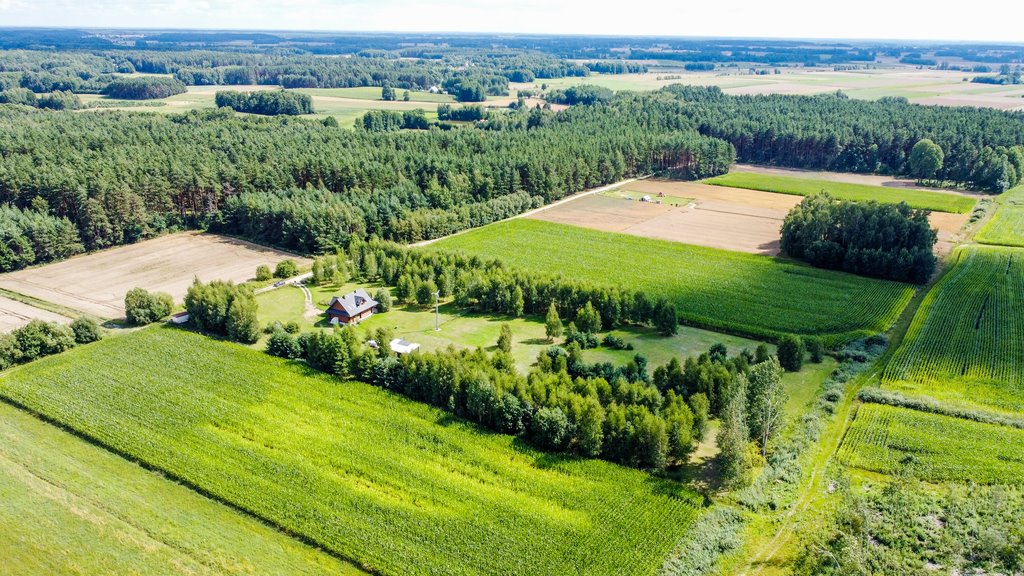 Działka budowlana na sprzedaż Ogrodniczki  3 417m2 Foto 9