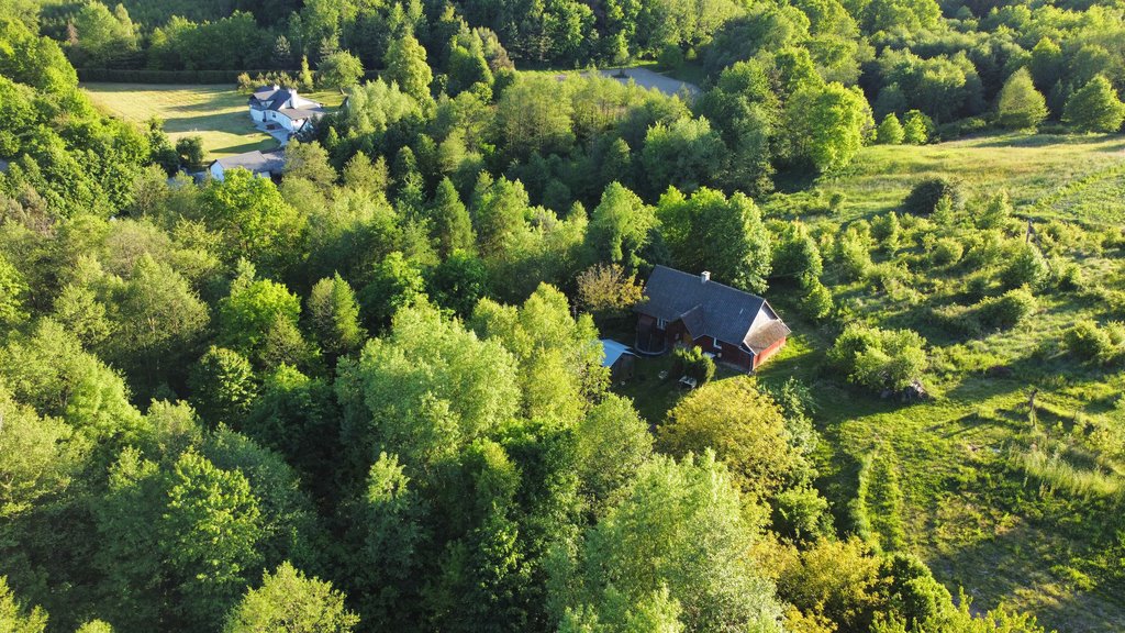 Działka budowlana na sprzedaż Hermanowa  16 000m2 Foto 6