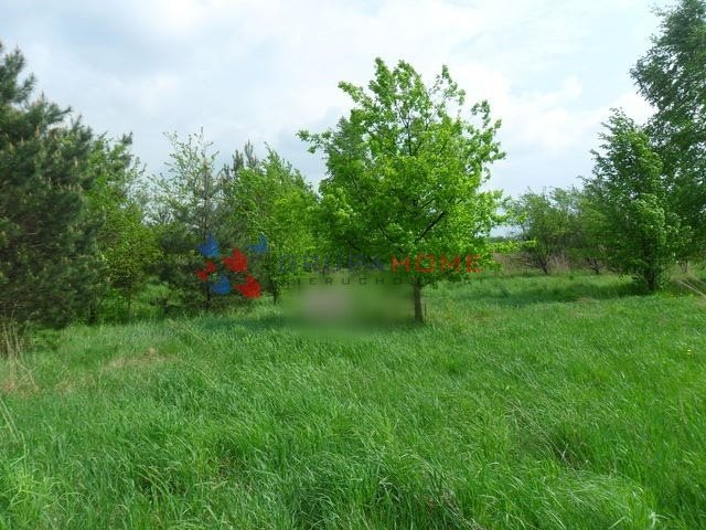 Działka budowlana na sprzedaż Łoś 1 000m2 Foto 1 Działka budowlana na sprzedaż Łoś 1 000m2 Foto 1