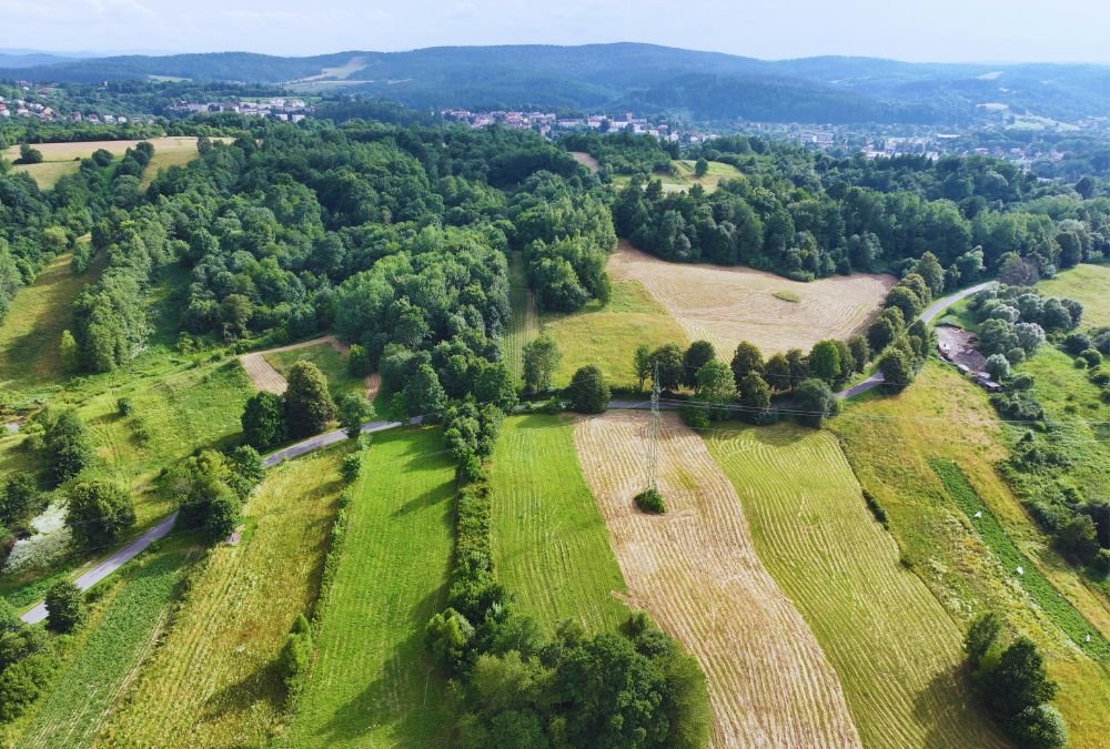 Działka rolna na sprzedaż Jankowce  2 900m2 Foto 3