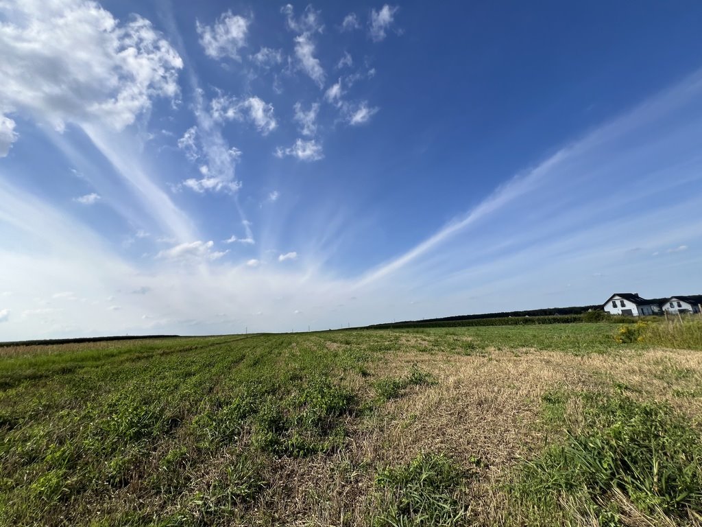 Działka budowlana na sprzedaż Karczów  11 000m2 Foto 1