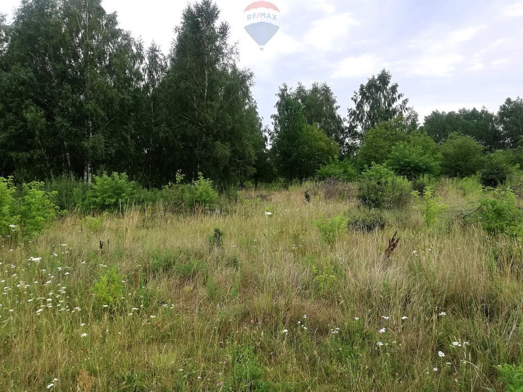 Działka siedliskowa na sprzedaż Ojrzanów-Towarzystwo  3 027m2 Foto 5