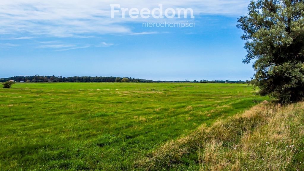 Działka rolna na sprzedaż Korzystno, Migdałowa  34 400m2 Foto 13