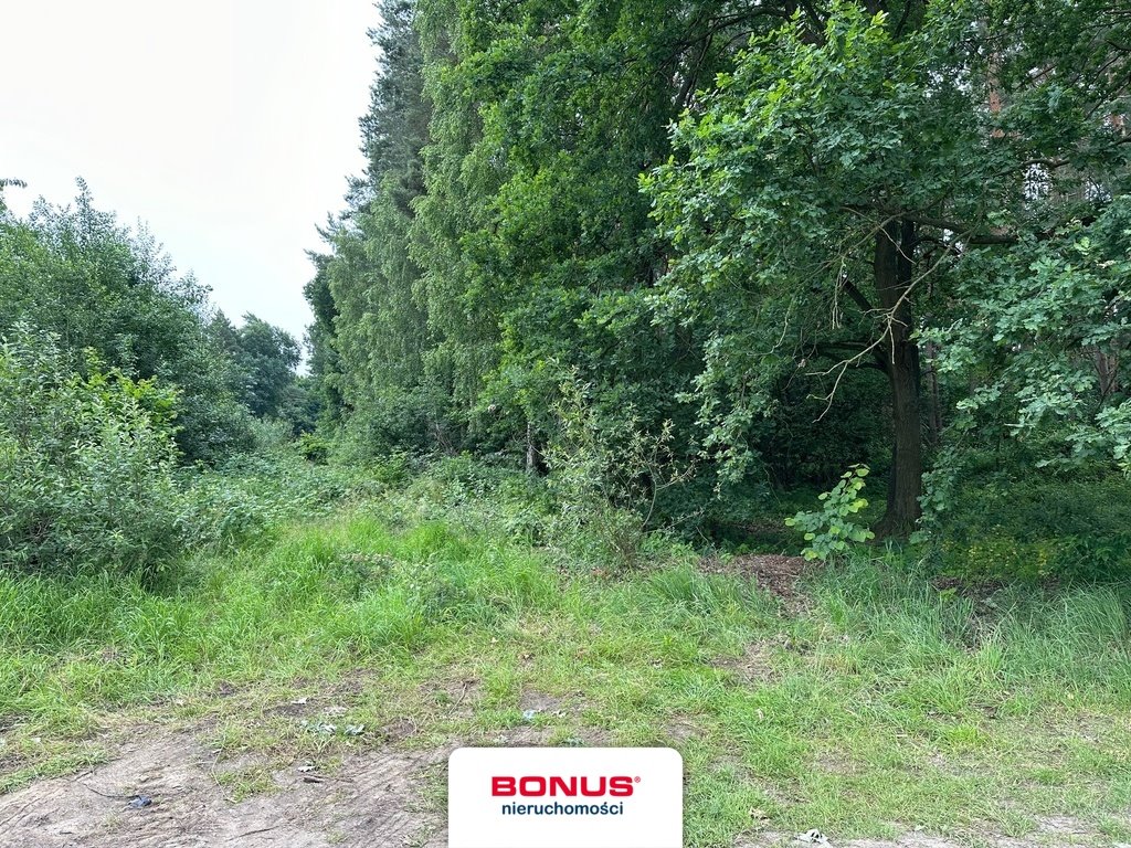 Działka leśna na sprzedaż Szczecin, Płonia  16 261m2 Foto 3