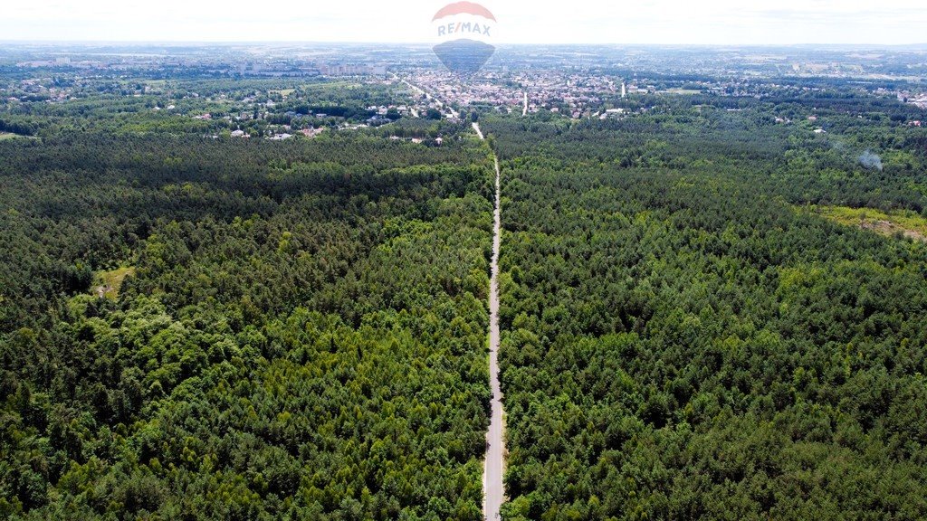 Działka budowlana na sprzedaż Ostrowiec Świętokrzyski, Las Rzeczki  891m2 Foto 4