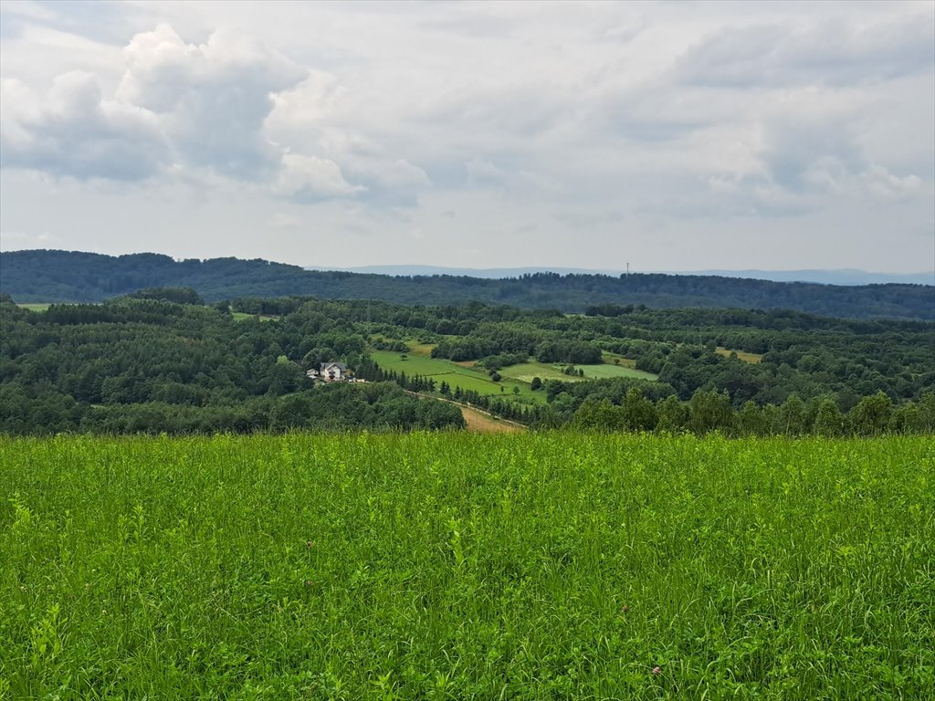 Działka rolna na sprzedaż Niebocko  2 860m2 Foto 3