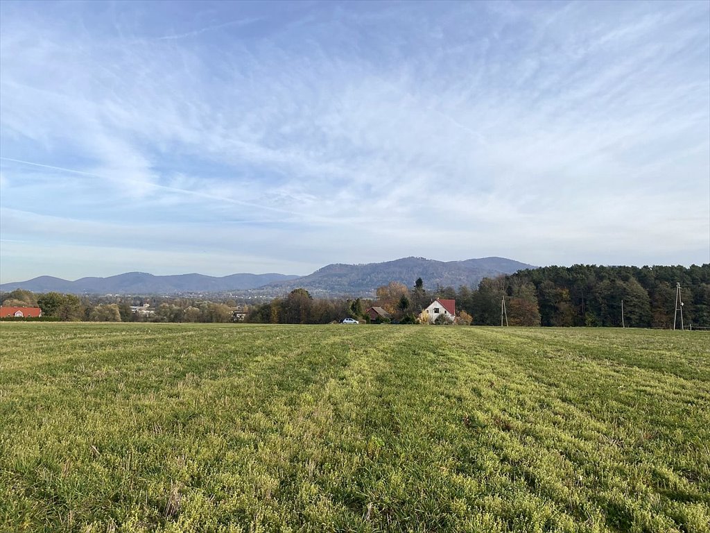 Działka rolna na sprzedaż Kozakowice Dolne, Kozakowice Dolne, Biała  6 400m2 Foto 14