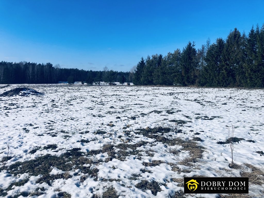 Sprzedam działkę 1602 m² z warunkami zabudowy i mediami Protasy  1 608m2 Foto 1