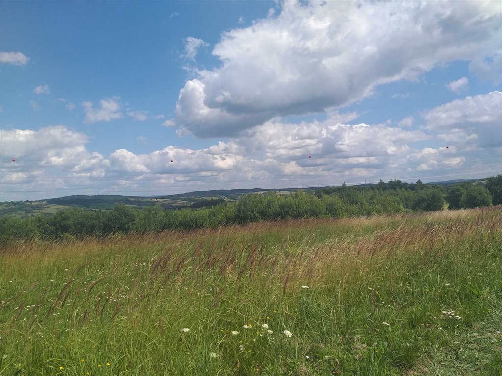 Działka rolna na sprzedaż Makowiska  9 700m2 Foto 13