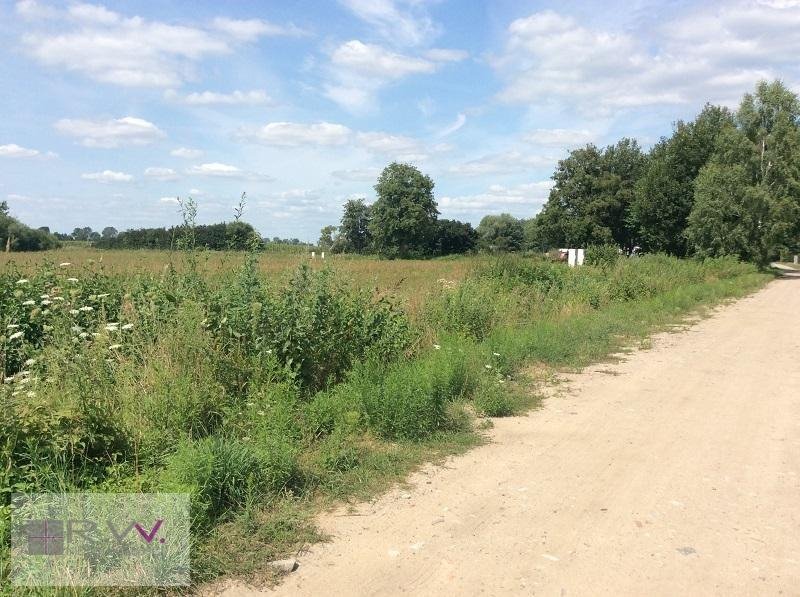 Działka inna na sprzedaż Studzieniec  1 000m2 Foto 3