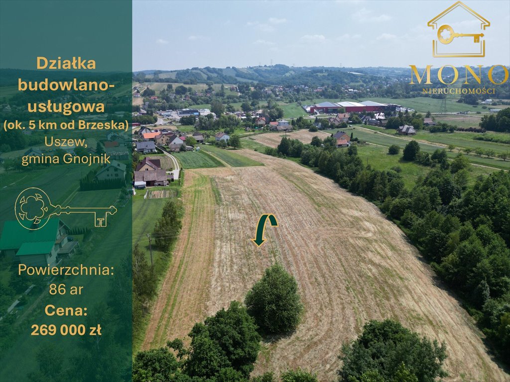 Działka budowlana na sprzedaż Uszew  8 600m2 Foto 1