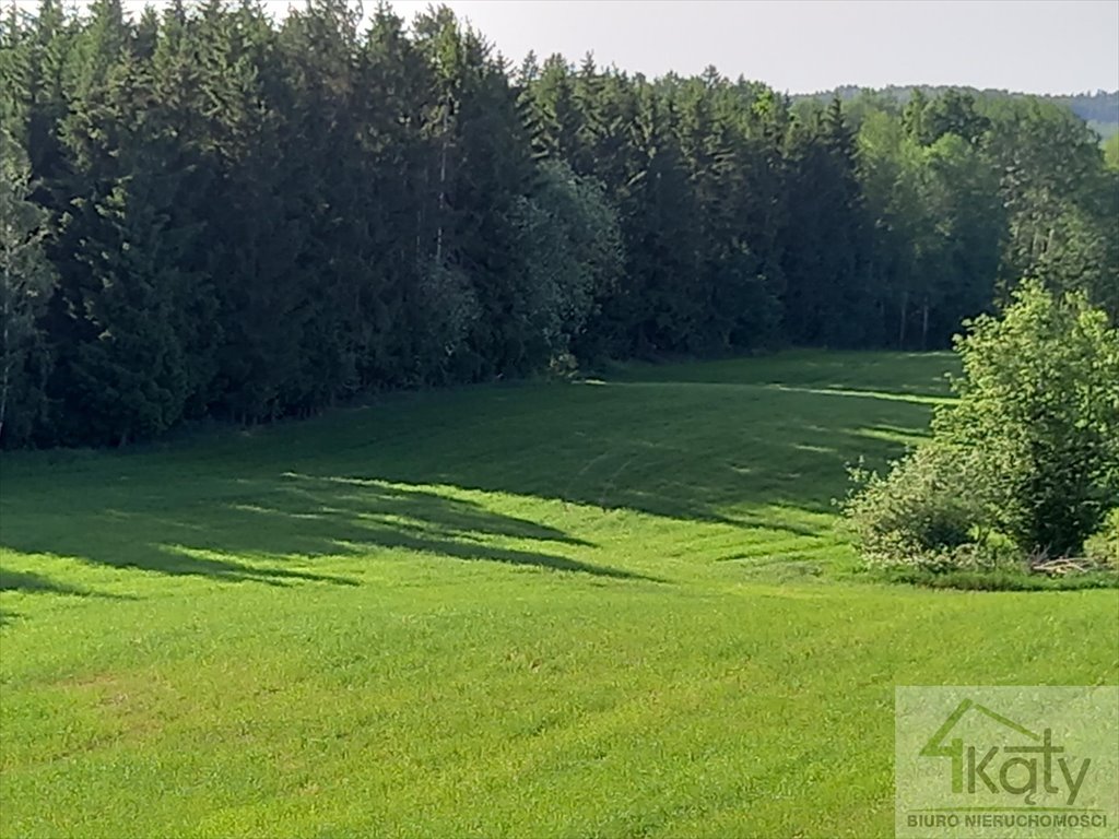Działka rolna 45 400 m² z dostępem do drogi i lasem Czarny Kierz  45 400m2 Foto 1