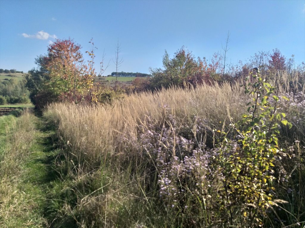 Działka rolna na sprzedaż Makowiska  1 133m2 Foto 9