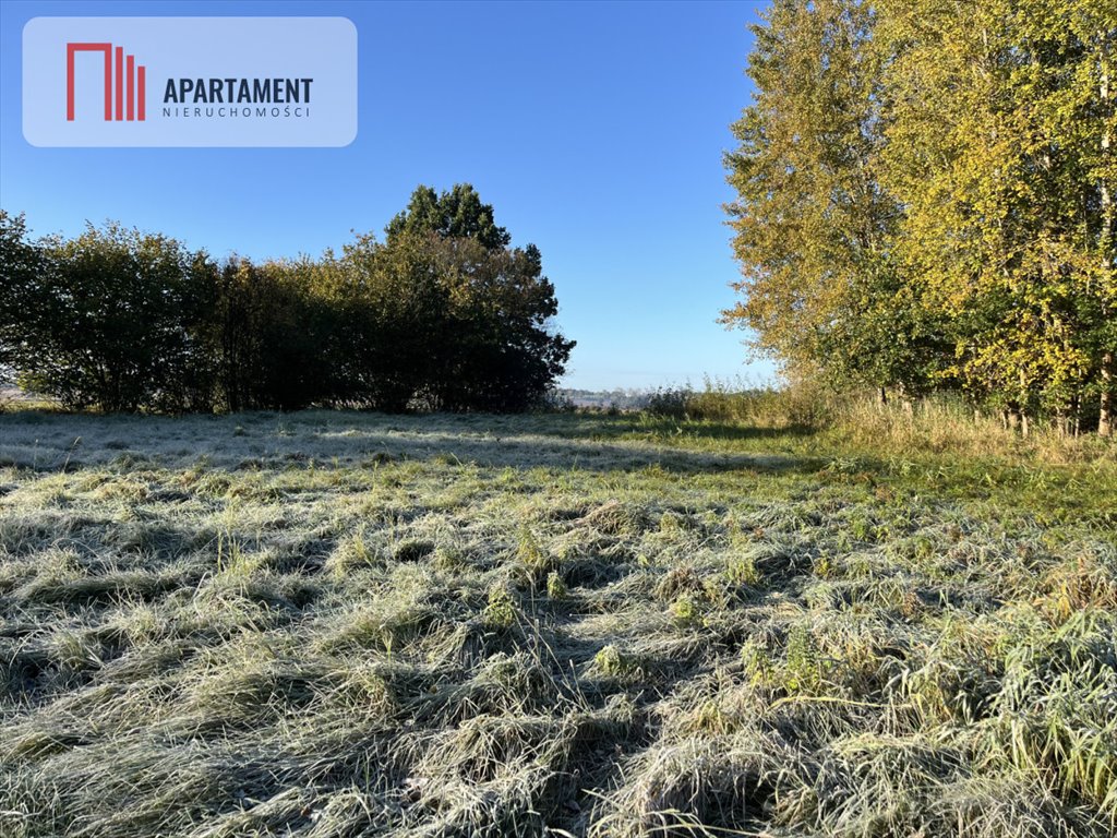 Działka gospodarstwo rolne na sprzedaż Dalewo  29 700m2 Foto 3