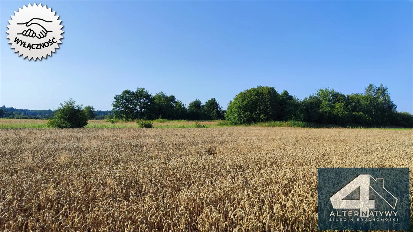 Działka budowlana na sprzedaż Szarwark  1 900m2 Foto 3