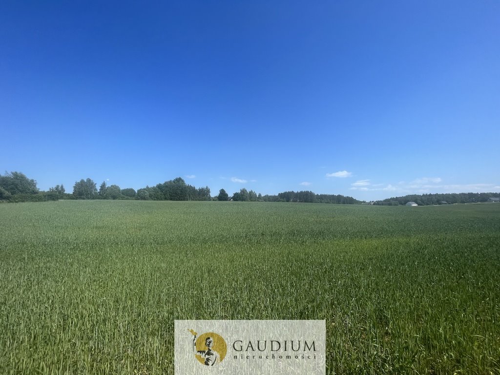 Działka 3 012 m² z MPZP i potencjałem inwestycyjnym Bielkówko, Studzienna  3 012m2 Foto 1