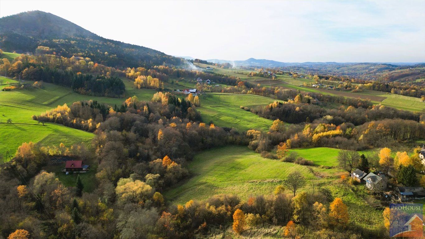 Działka budowlana na sprzedaż Rupniów  7 200m2 Foto 1