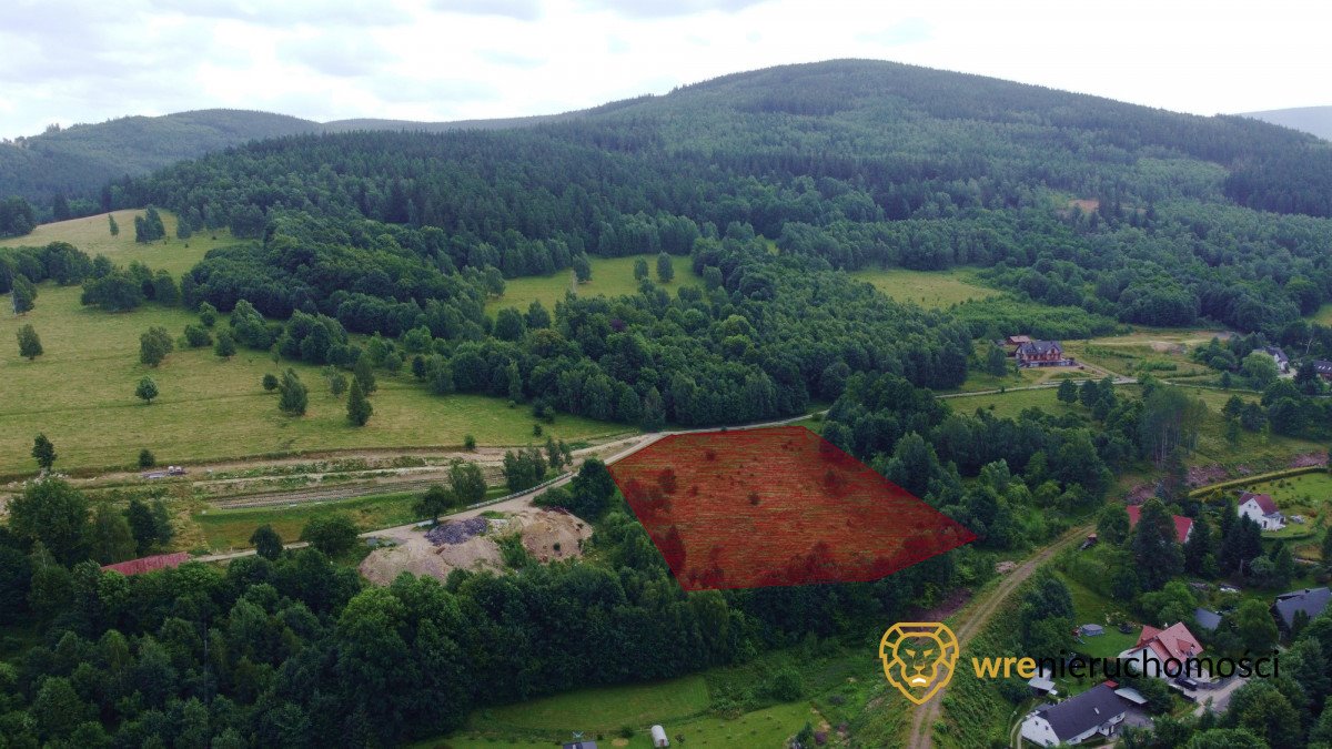 Działka budowlana na sprzedaż Krobica  9 929m2 Foto 1