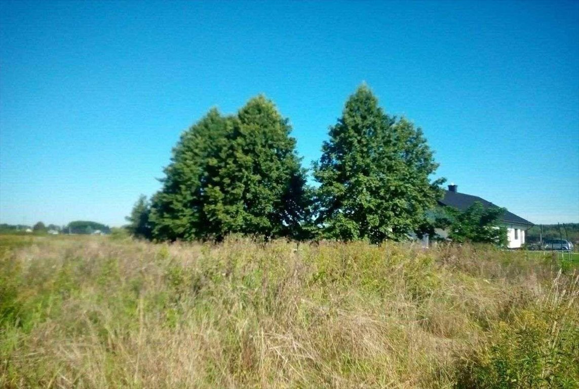 Działka inna na sprzedaż Rytwiany  5 900m2 Foto 6