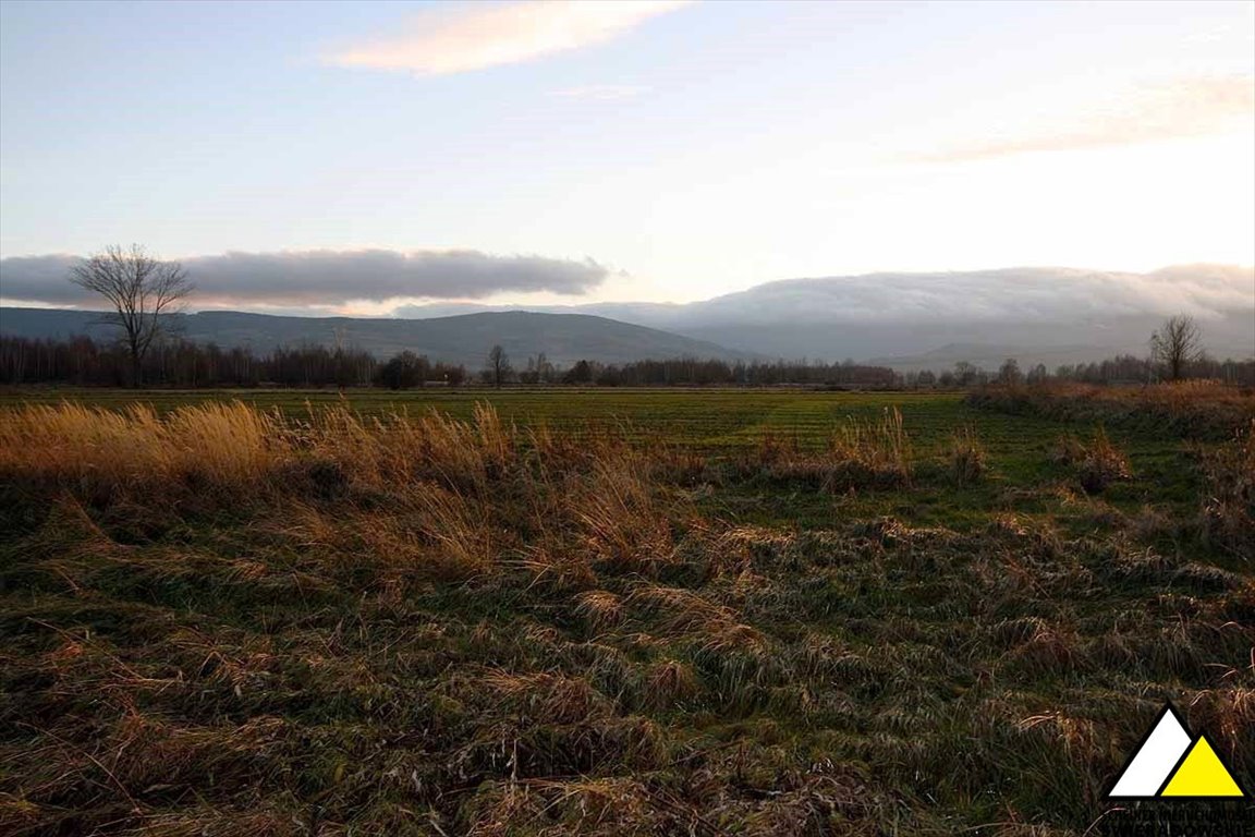 Działka budowlana na sprzedaż Mirsk  1 042m2 Foto 6