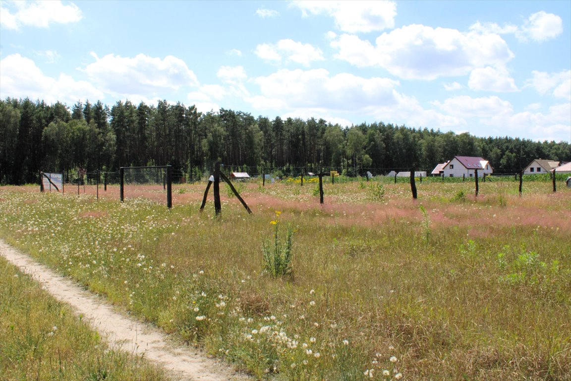 Działka rolna na sprzedaż Bartodzieje  1 023m2 Foto 8