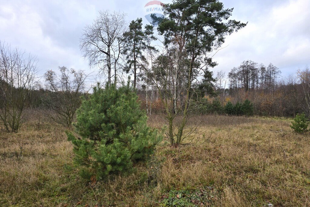 Działka budowlana na sprzedaż Nekielka, Makowa  1 921m2 Foto 7