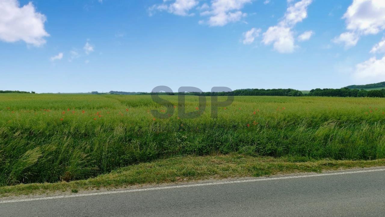 Działka przemysłowo-handlowa na sprzedaż Zawonia, Trzebnicka  21 620m2 Foto 4