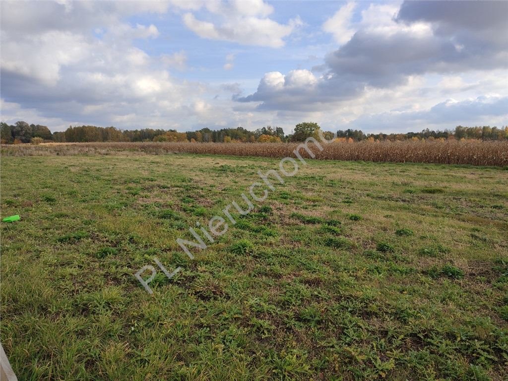 Działka budowlana na sprzedaż Chrzanów Mały  1 500m2 Foto 1