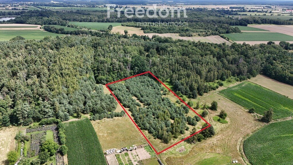 Działka 1,1 ha pod zabudowę i inwestycję w Niemodlinie Niemodlin, Podgórna  11 083m2 Foto 1