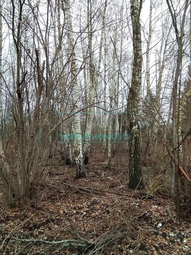 Działka budowlana na sprzedaż Komorów  2 900m2 Foto 2