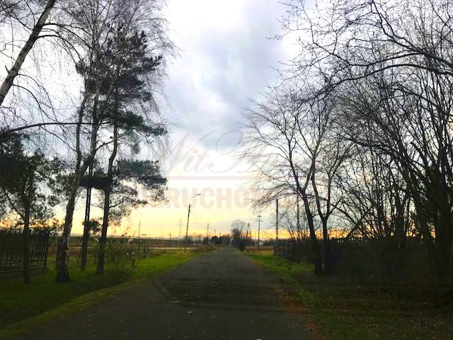 Działka inwestycyjna na sprzedaż Opacz-Kolonia 5 500m2 Foto 1 Działka inwestycyjna na sprzedaż Opacz-Kolonia 5 500m2 Foto 1