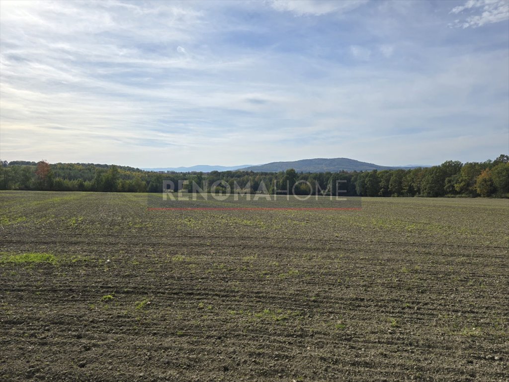 Działka gospodarstwo rolne na sprzedaż Sobótka, Tąpadła  90 500m2 Foto 11