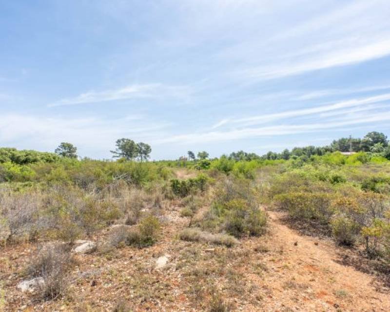 Działka budowlana na sprzedaż Hiszpania, Javea, Hiszpania, Cabo de Sant Antonio  6 000m2 Foto 5