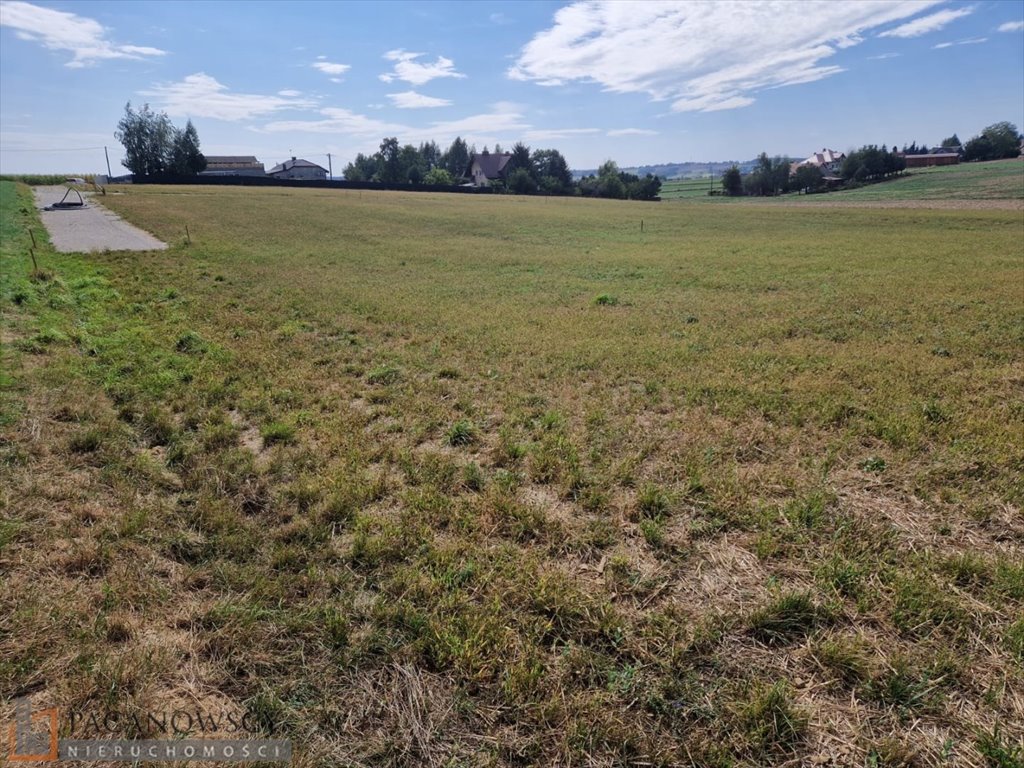 Działka budowlana na sprzedaż Sieciechowice  2 505m2 Foto 1