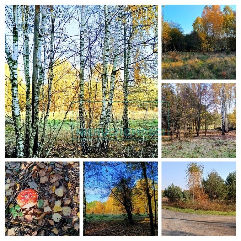 Działka budowlana na sprzedaż Radonie  1 500m2 Foto 1