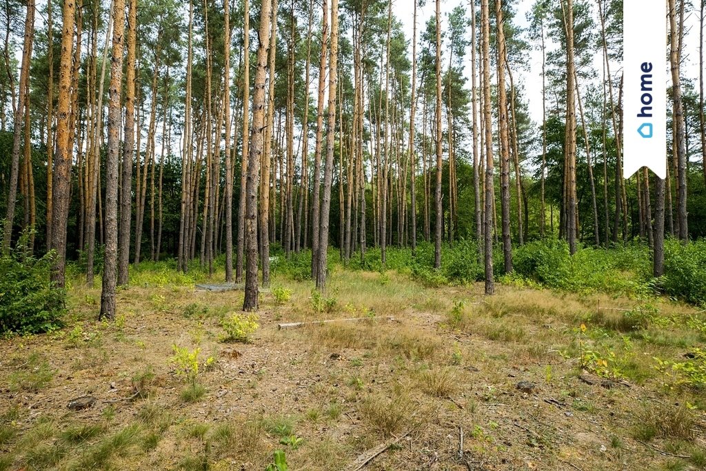 Działka budowlana na sprzedaż Otwock, Krecia  9 812m2 Foto 10