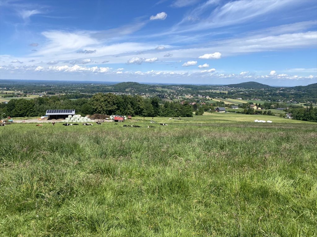 Działka budowlana na sprzedaż Ustroń, Lipowska  1 010m2 Foto 8