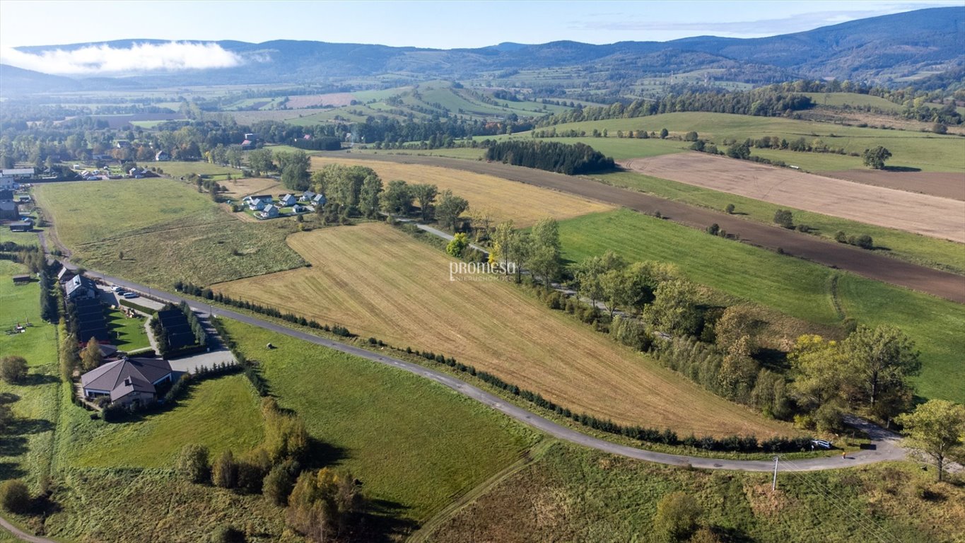 Działka budowlana na sprzedaż Miszkowice, al. Dębowa  5 047m2 Foto 5