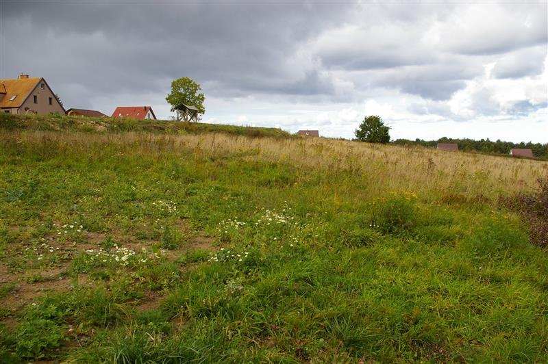 Działka budowlana na sprzedaż Zakrzewo, Zakrzewo  4 300m2 Foto 9