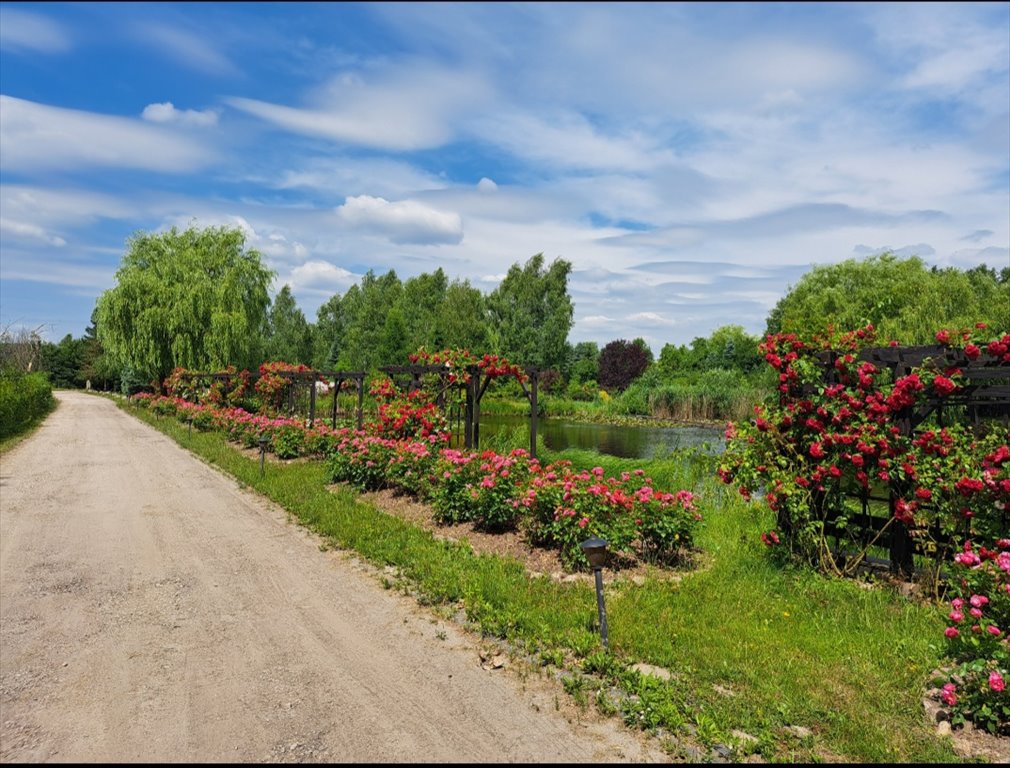 Działka budowlana na sprzedaż Łódź, Widzew, Nowosolna, Grabińska 29  970m2 Foto 4