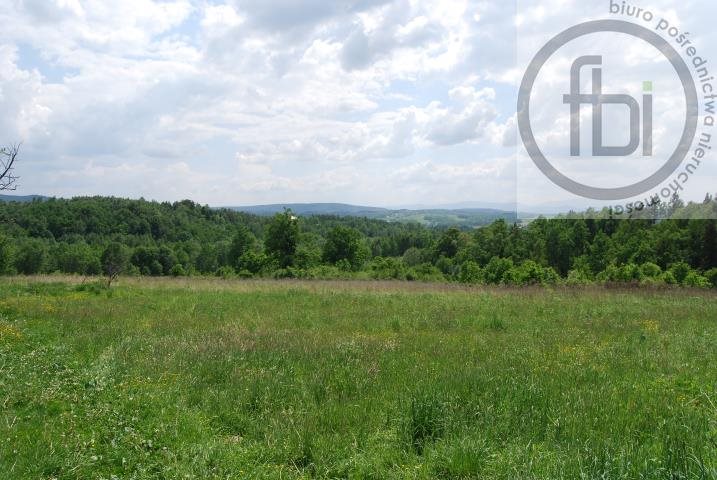 Działka rekreacyjna na sprzedaż Kalwaria Zebrzydowska 11 284m2 Foto 1 Działka rekreacyjna na sprzedaż Kalwaria Zebrzydowska 11 284m2 Foto 1
