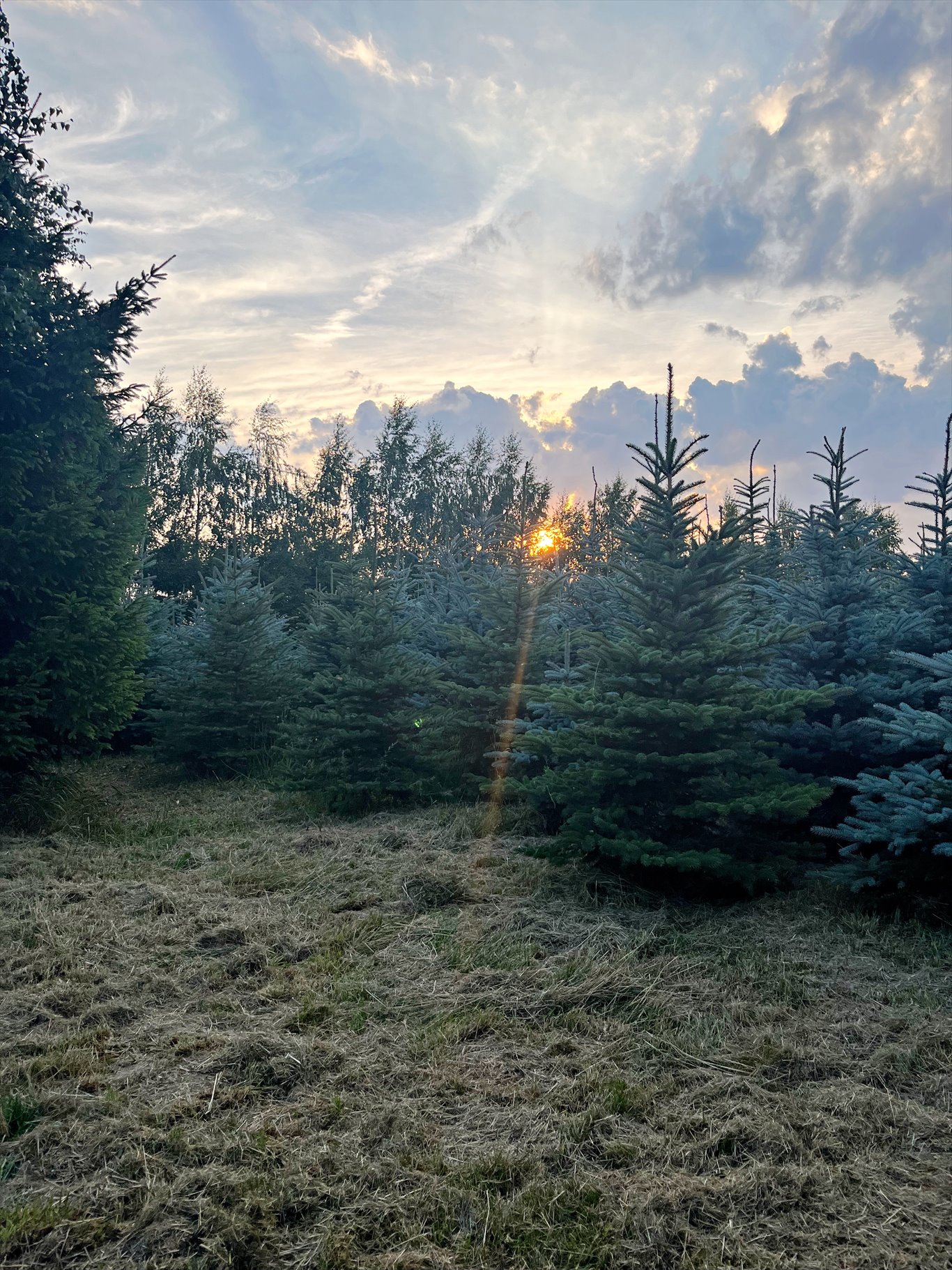 Działka budowlana na sprzedaż Pietrzwałd  1 150m2 Foto 3