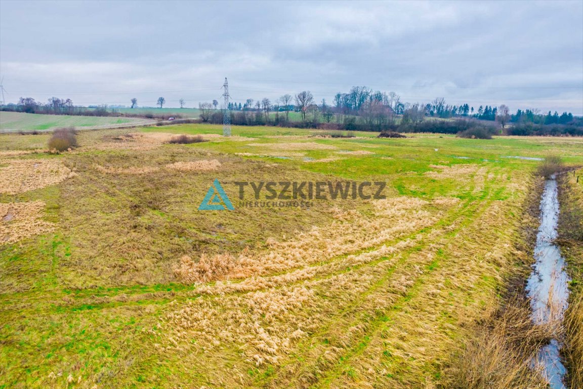 Działka rolna na sprzedaż Starkowo  6 500m2 Foto 10
