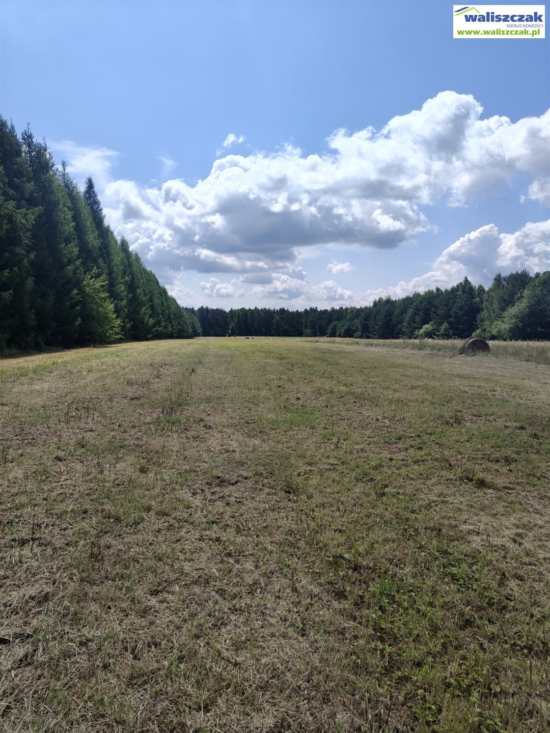 Polecam działki 2 ha z dojazdem asfaltowym w gm. Pardyż Honoratów  20 200m2 Foto 1