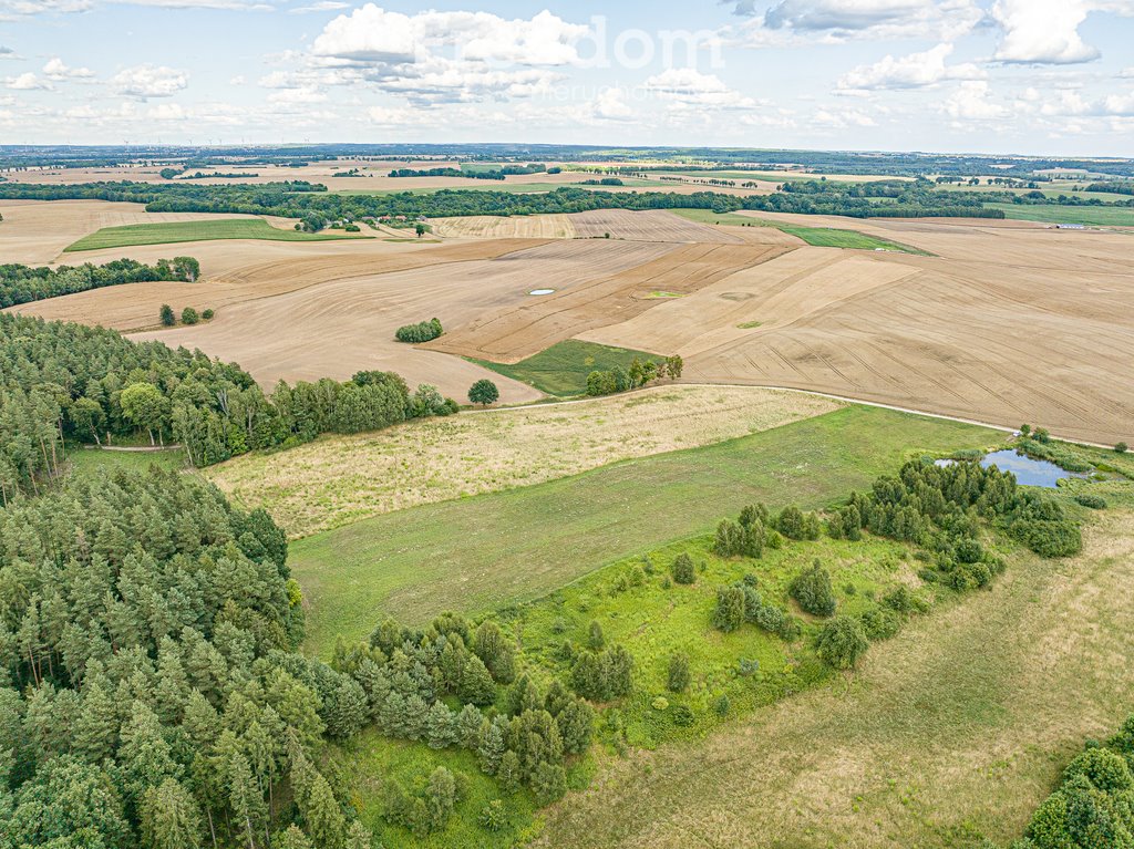 Działka rolna na sprzedaż Kwietniewo  22 800m2 Foto 6