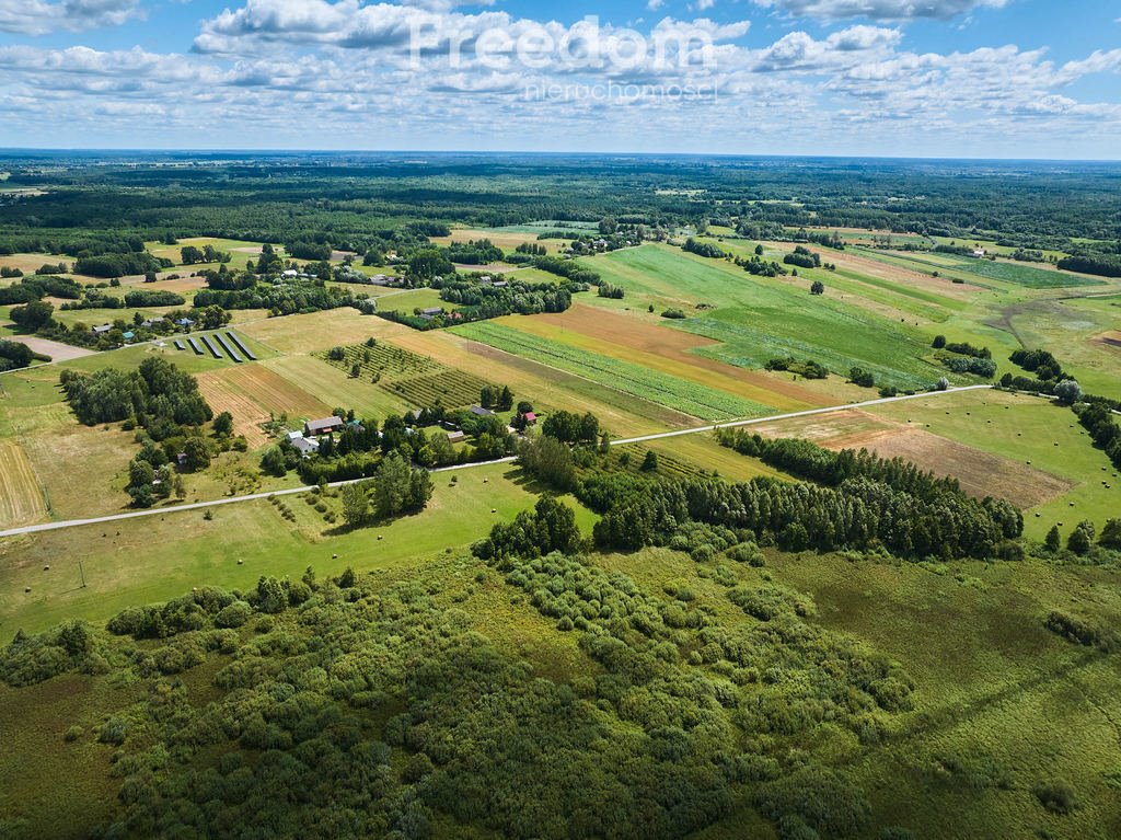 Działka budowlana na sprzedaż Żalin  8 434m2 Foto 4