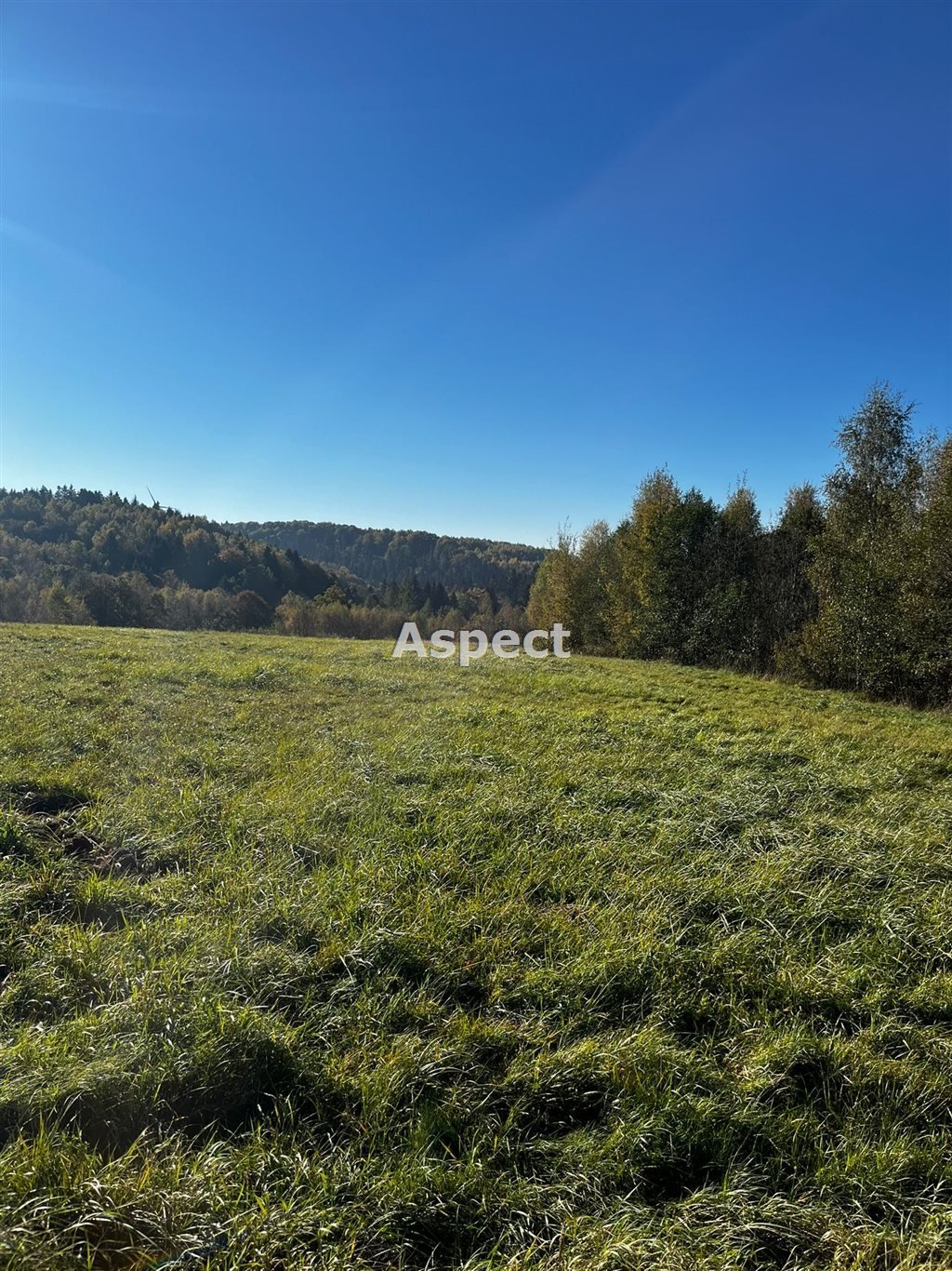 Działka budowlana na sprzedaż Wyręby  6 447m2 Foto 1