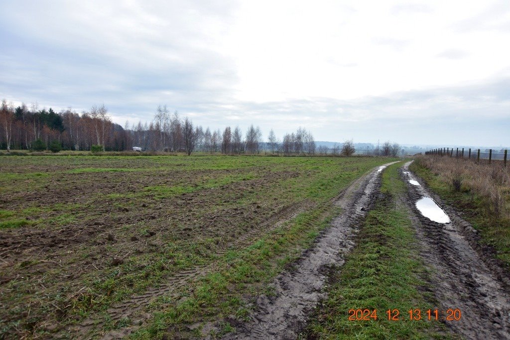 Działka budowlana na sprzedaż Syców, Polna  1 237m2 Foto 9